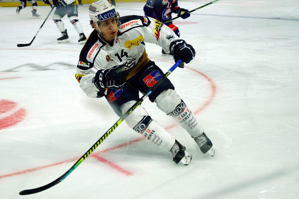 player, hockey, ice hockey-6903660.jpg